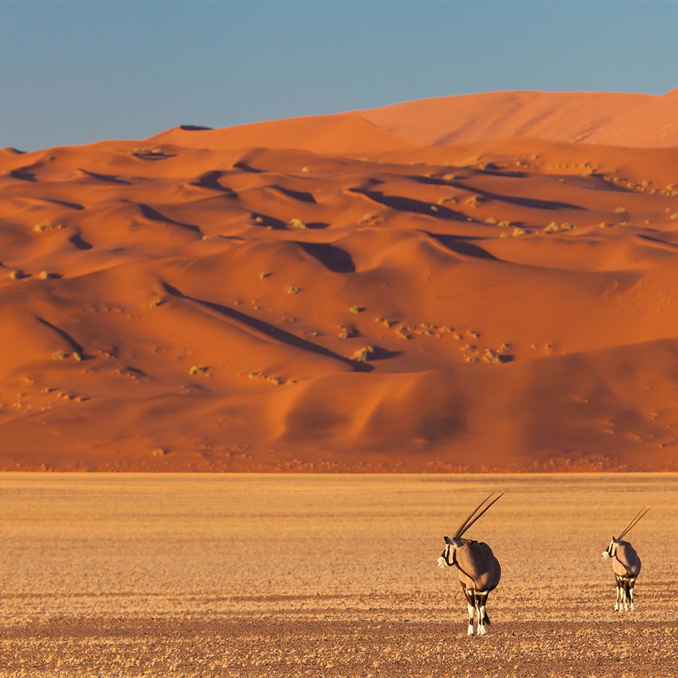Southern Namib Desert