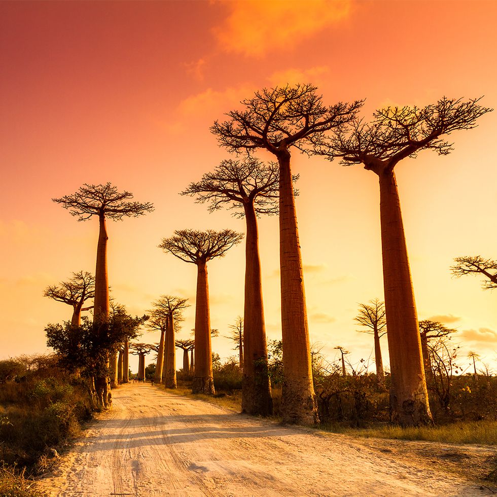 Madagascar