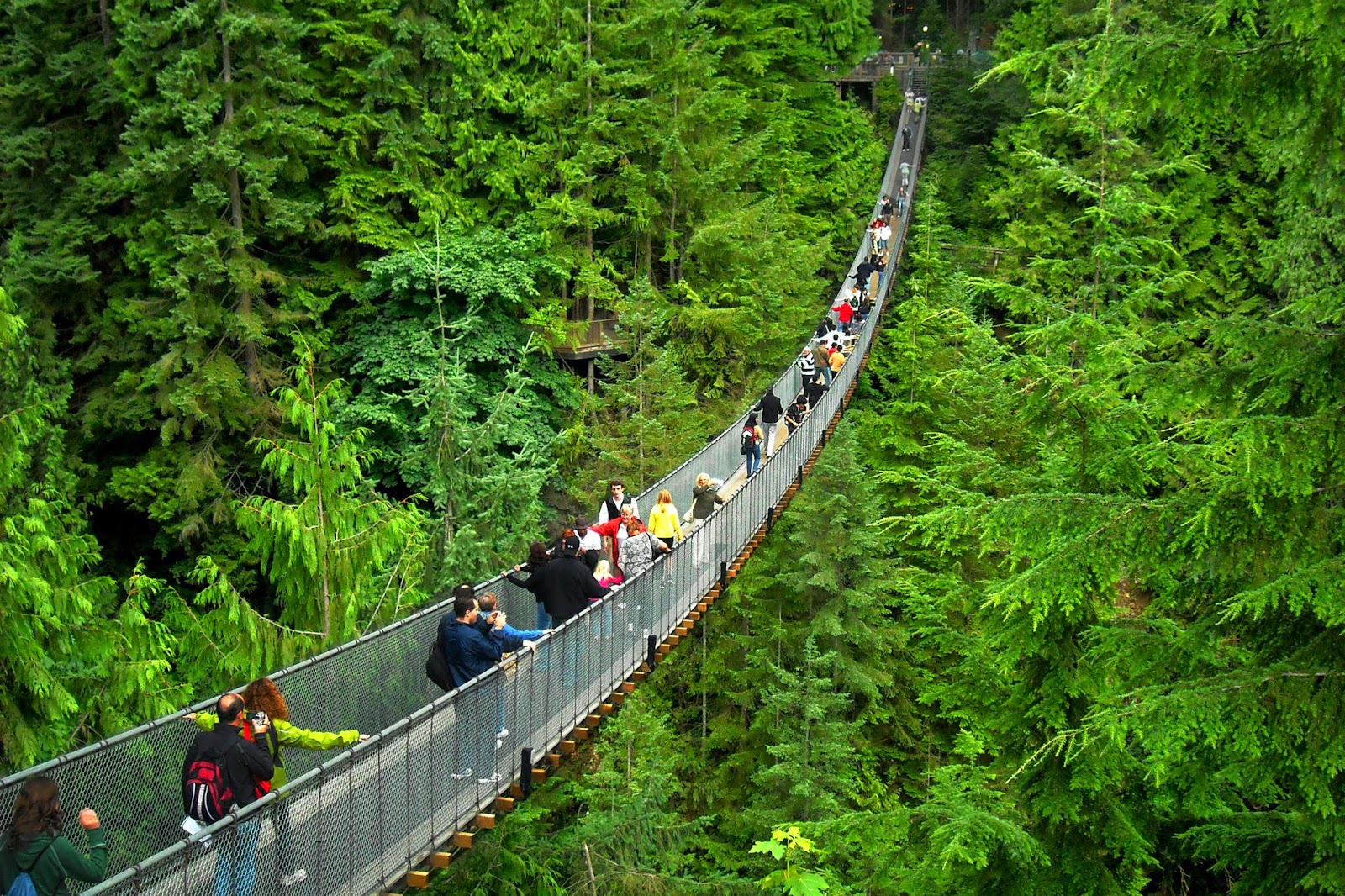  Capilano Suspension Bridge, Canada