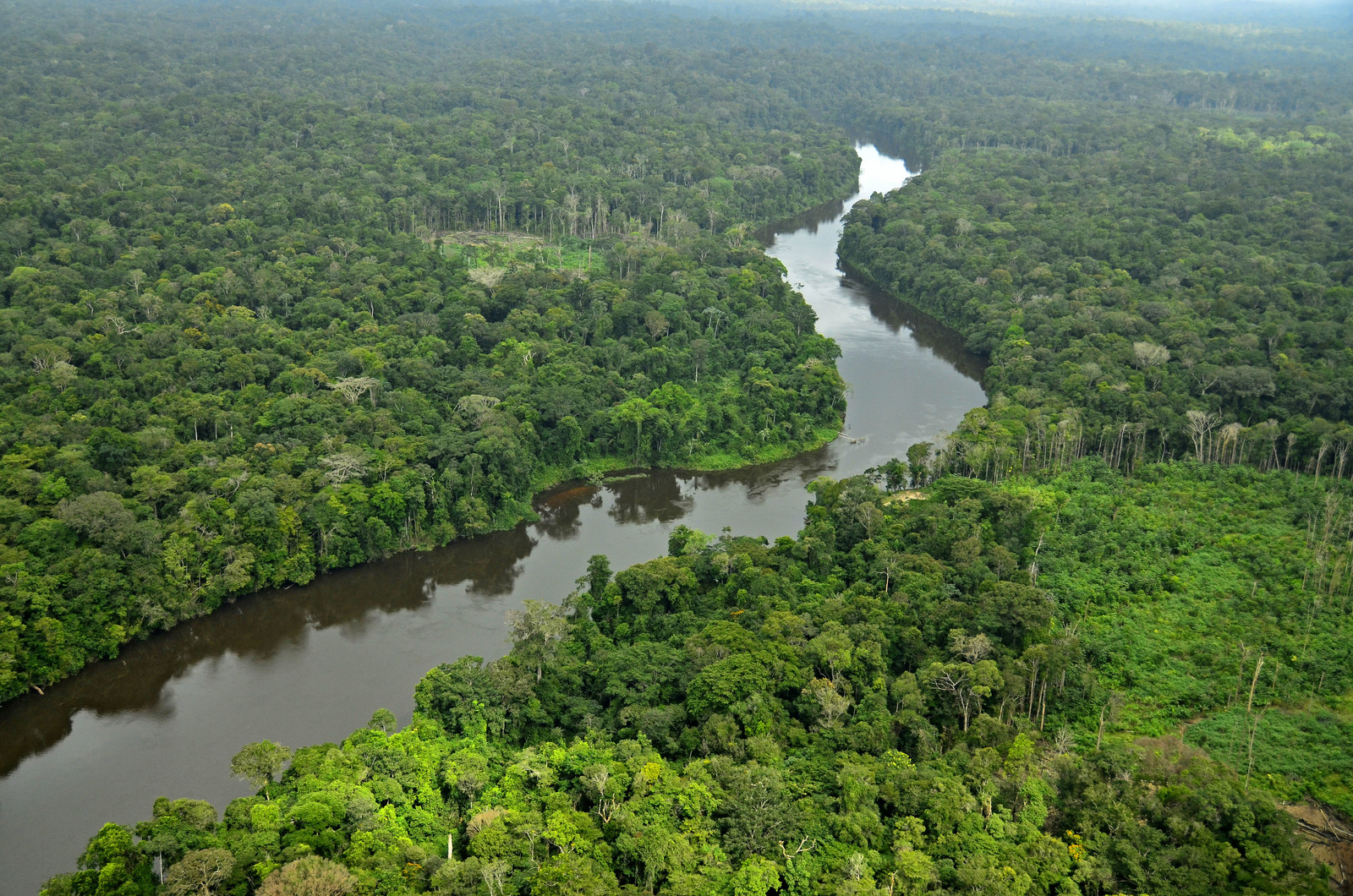 Amazon Rainforest